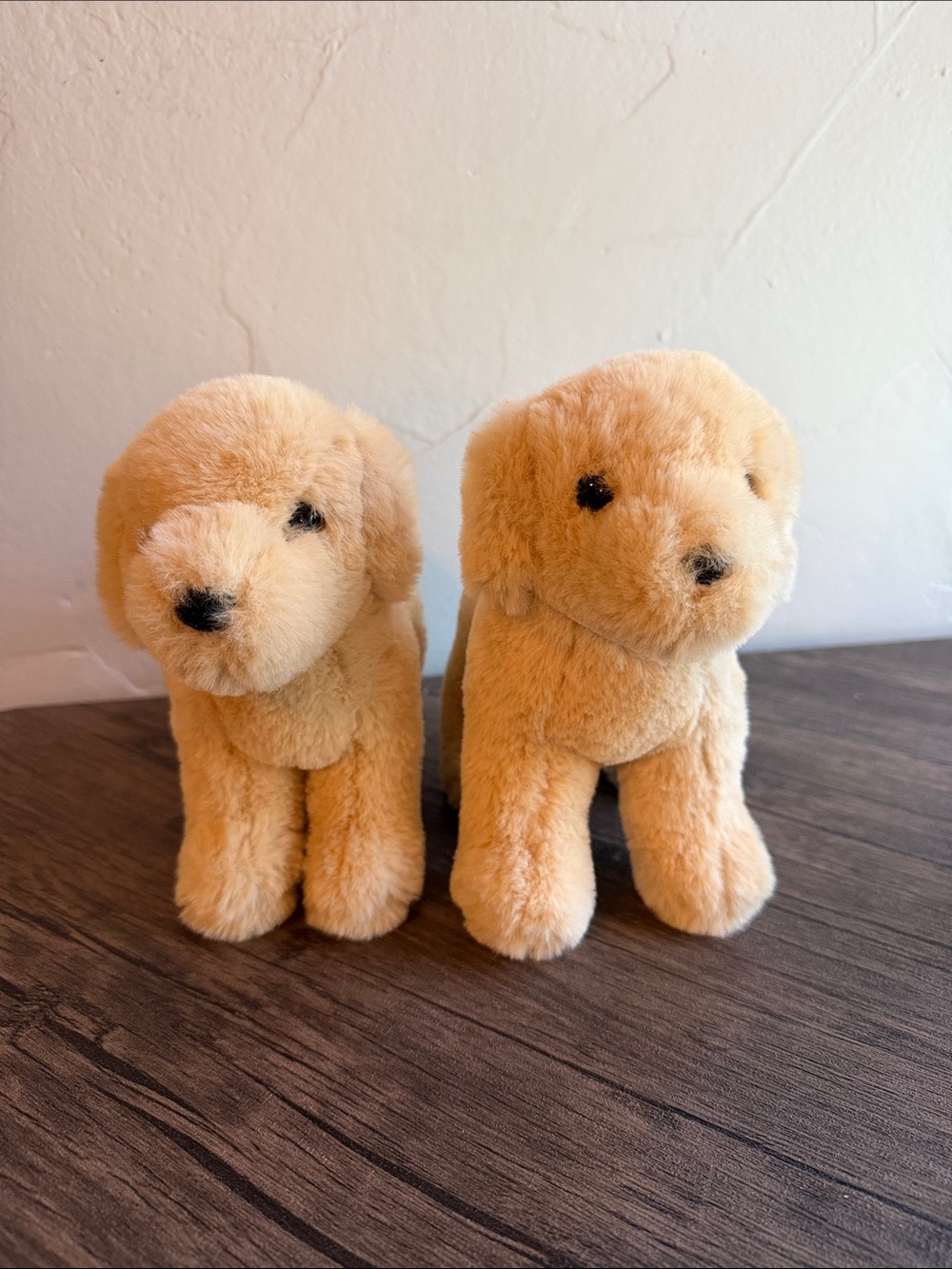 Douglas Zach Yellow Lab Set of 2